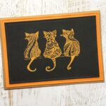 Orange katte