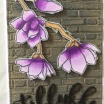 Blomster Tillykke