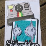Sommer polaroid shot